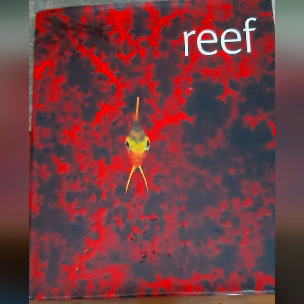 DK Scubazoo Large Hardcover Book "Reefs" Photos Of Reefs Worldwide DVD Included
